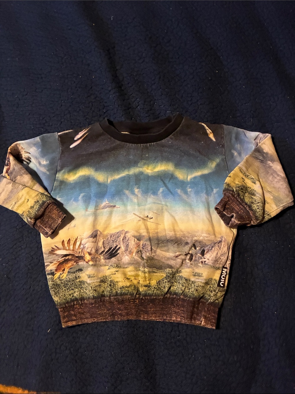 Molo Scenic Eagle Sweatshirt in Blue, Green, Brown